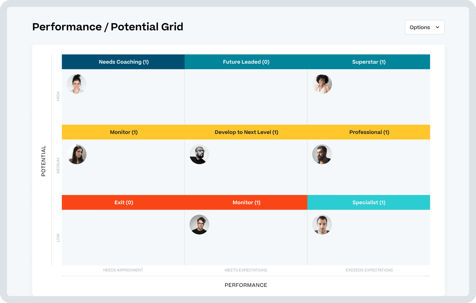 Screen shot of Cornerstone software.
